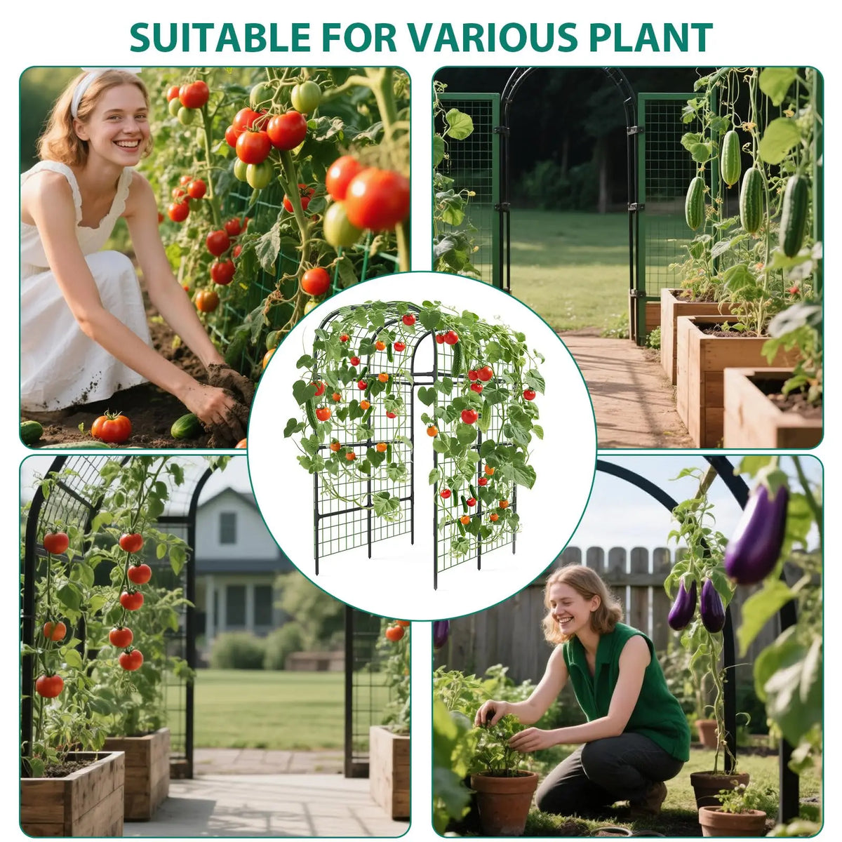 Metal Garden Arch Trellis For Climbing Plants And Vines