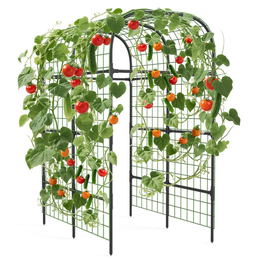 Metal Garden Arch Trellis For Climbing Plants And Vines