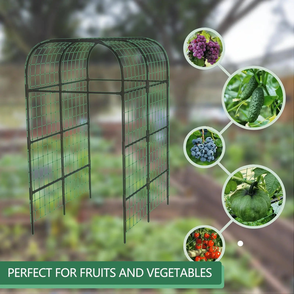 Metal Garden Arch Trellis For Climbing Plants And Vines