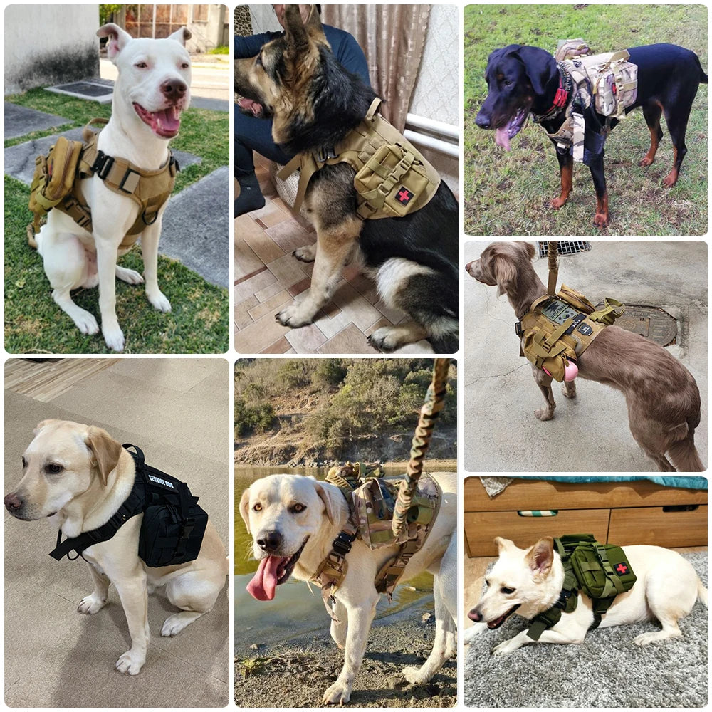 Petavel Tactical Dog Harness With Quick Release Leash